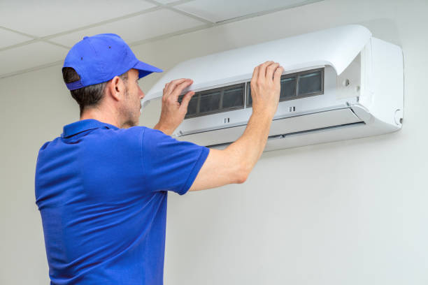 Best Air Duct Mold Removal  in Vinton, TX